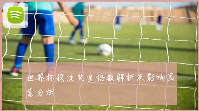 世界杯投注奖金倍数解析及影响因素分析